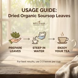 Organic Dried Soursop Leaves (Annona muricata) — Whole Leaves for Herbal Tea, 2 oz-3