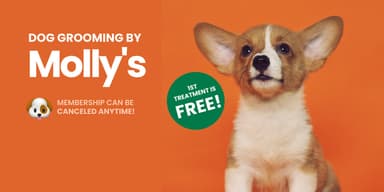 The Pawsome Pamper Plan