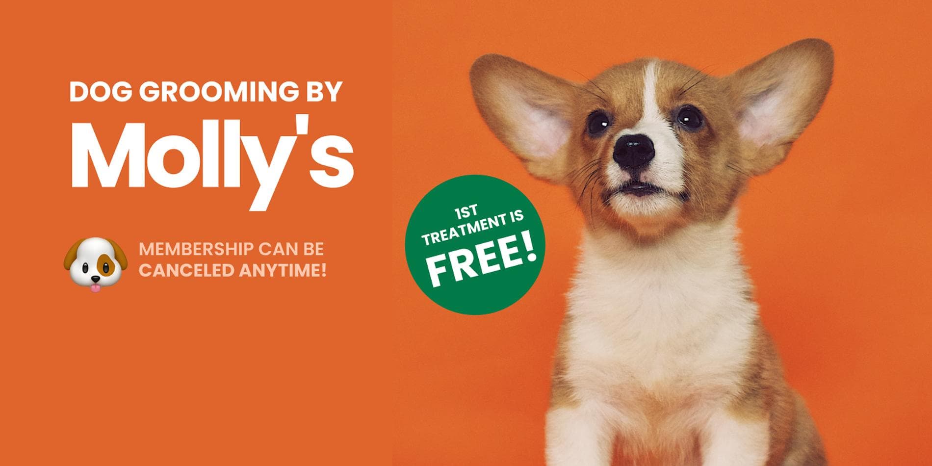 Dog Grooming Membership cover image