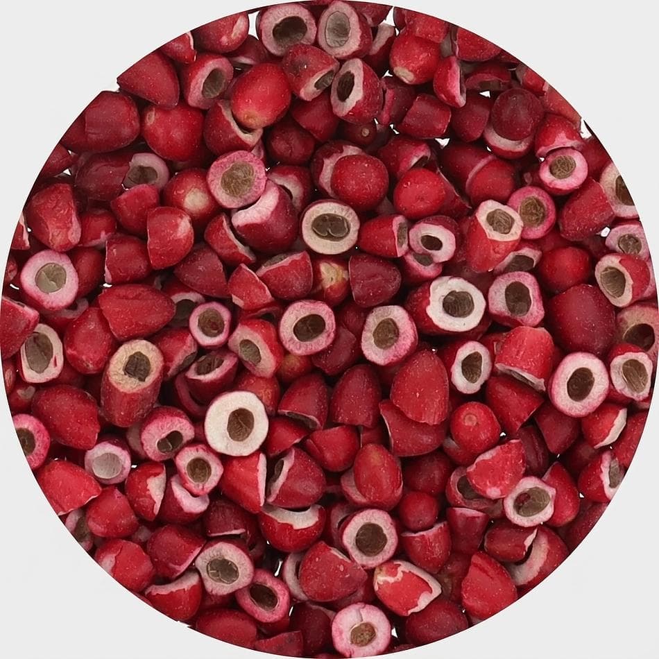 Freeze-Dried Miracle Berry Halves, Miracle Fruit (Miraculin), Taste Tripping Sour-to-Sweet, 10g Pouch (~100 Halves)