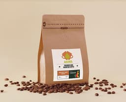 Akoma Bold Harmony-4