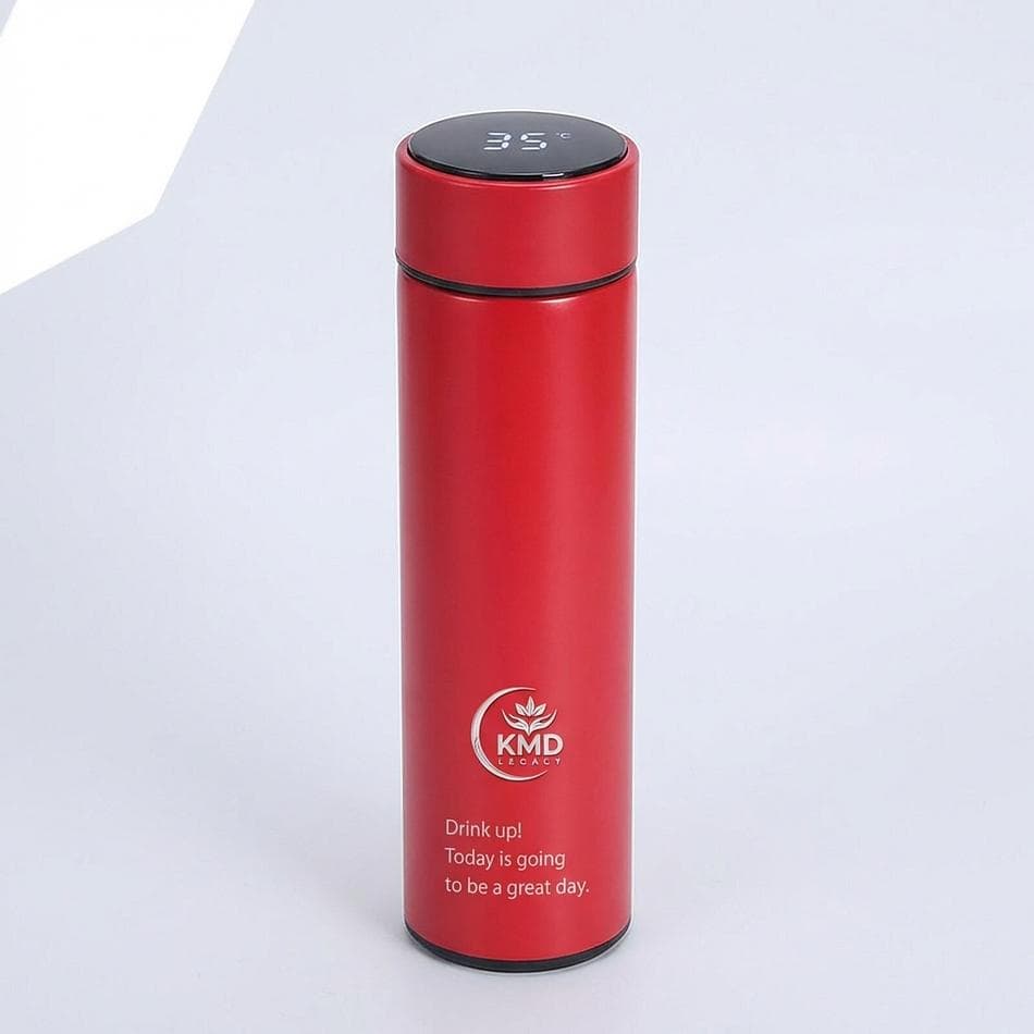 Stainless Steel Smart Thermos Bottle, LED Temperature Display Lid, Vacuum Insulated, Positive Affirmation Design, 500ml