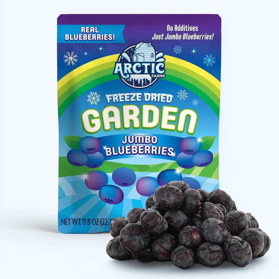 Freeze-Dried Jumbo Blueberries, XL Whole Berry Superfruit Snack, Pack of 3 Resealable Bags (0.8 oz each)