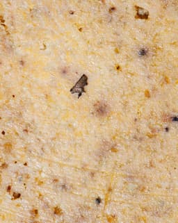 Pumpkin Oatmeal Soap-2