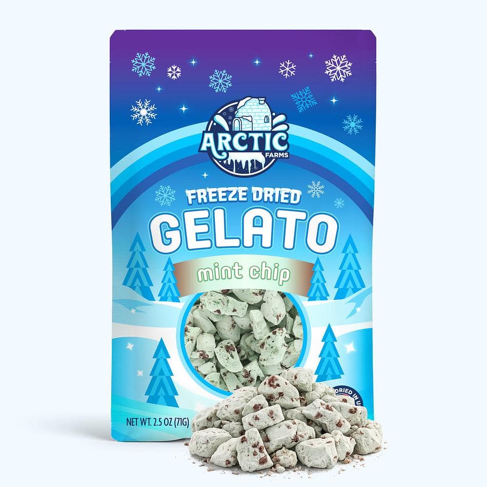 Freeze-Dried Gelato Bites, Mint & Chocolate Chips, No-Melt Dessert Snack, Large Resealable Bag (2.5 oz)