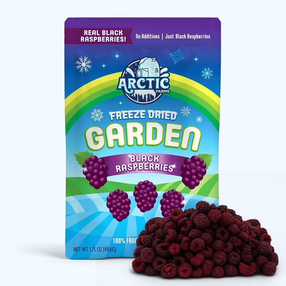 Freeze-Dried Black Raspberry, Premium Whole Berry Snack, Large Resealable Bag (2.2 oz)