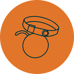 Other Pet Accessories