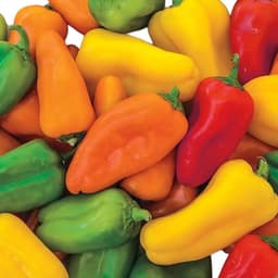 Sweet Mini Bell Peppers Garden Seeds-0