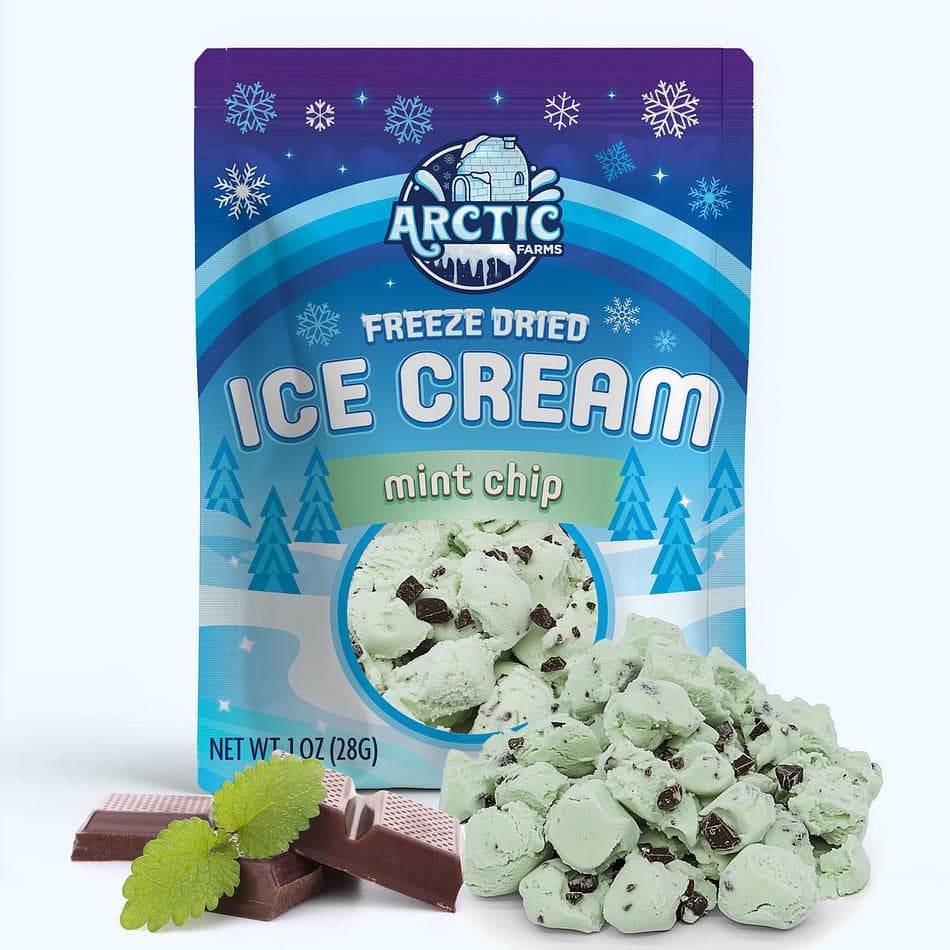 Freeze-Dried Ice Cream Bits, Mint Chip, No-Melt Crunchy Snack, Shelf-Stable, Pack of 3 Resealable Bags (1 oz each)