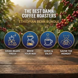 Ethiopian Bean Bundle-5