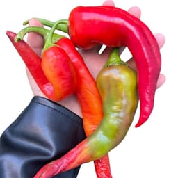 INFERNO Garden Seeds-0