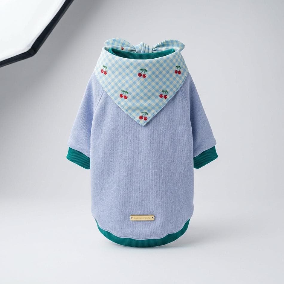 Dog Raglan Sweatshirt, Cotton French Terry, Color Block Lavender, Cozy Lightweight Fit, Sizes 2XS–2XL