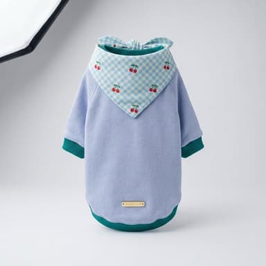 Dog Raglan Sweatshirt, Cotton French Terry, Color Block Lavender, Cozy Lightweight Fit, Sizes 2XS–2XL