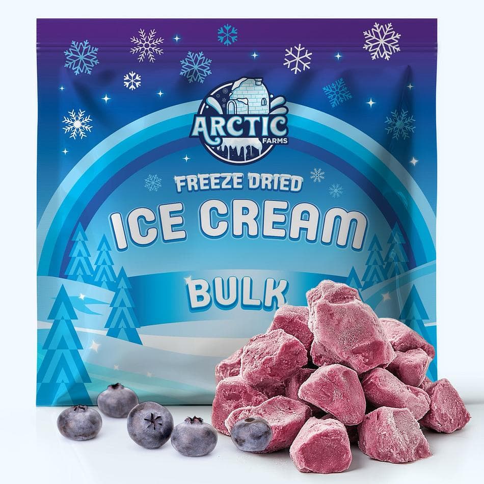 Freeze-Dried Ice Cream Bits, Blueberry, No-Melt Crunchy Snack, Shelf-Stable, Bulk Bag (1 lb)