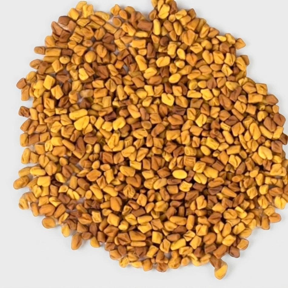 Whole Fenugreek Seeds (Trigonella foenum-graecum), Herbal & Culinary Spice, Digestive Support, Net Wt ___ oz, Resealable Bag