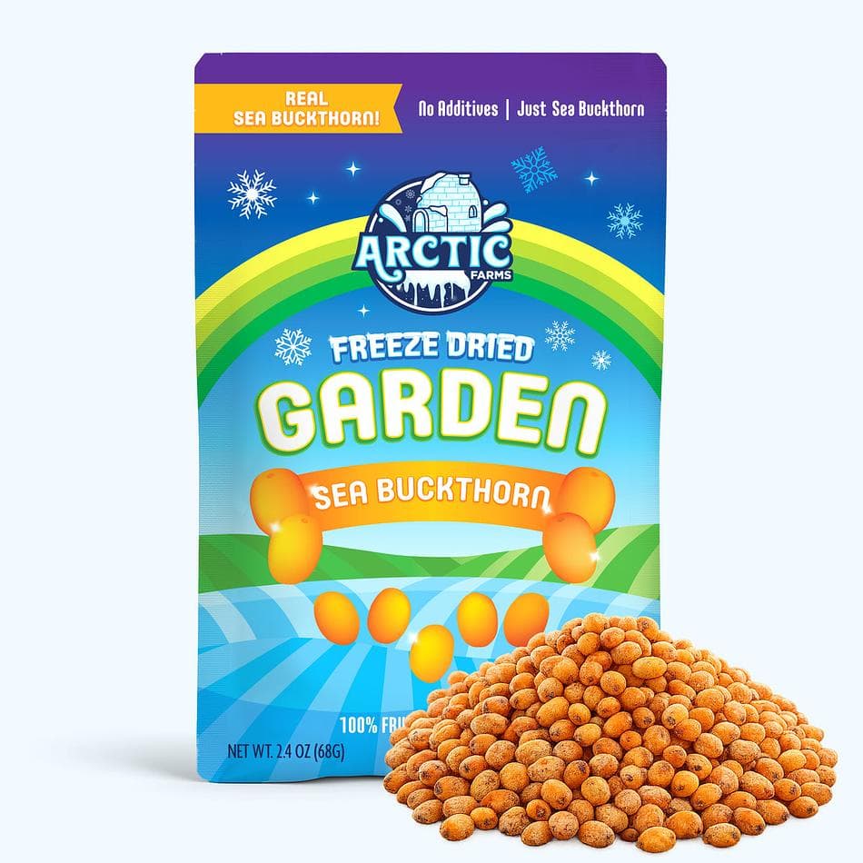 Freeze-Dried Wild Sea Buckthorn, Tart, Bright, Vitamin-Rich Whole Berries, Large Resealable Bag (2.5 oz)
