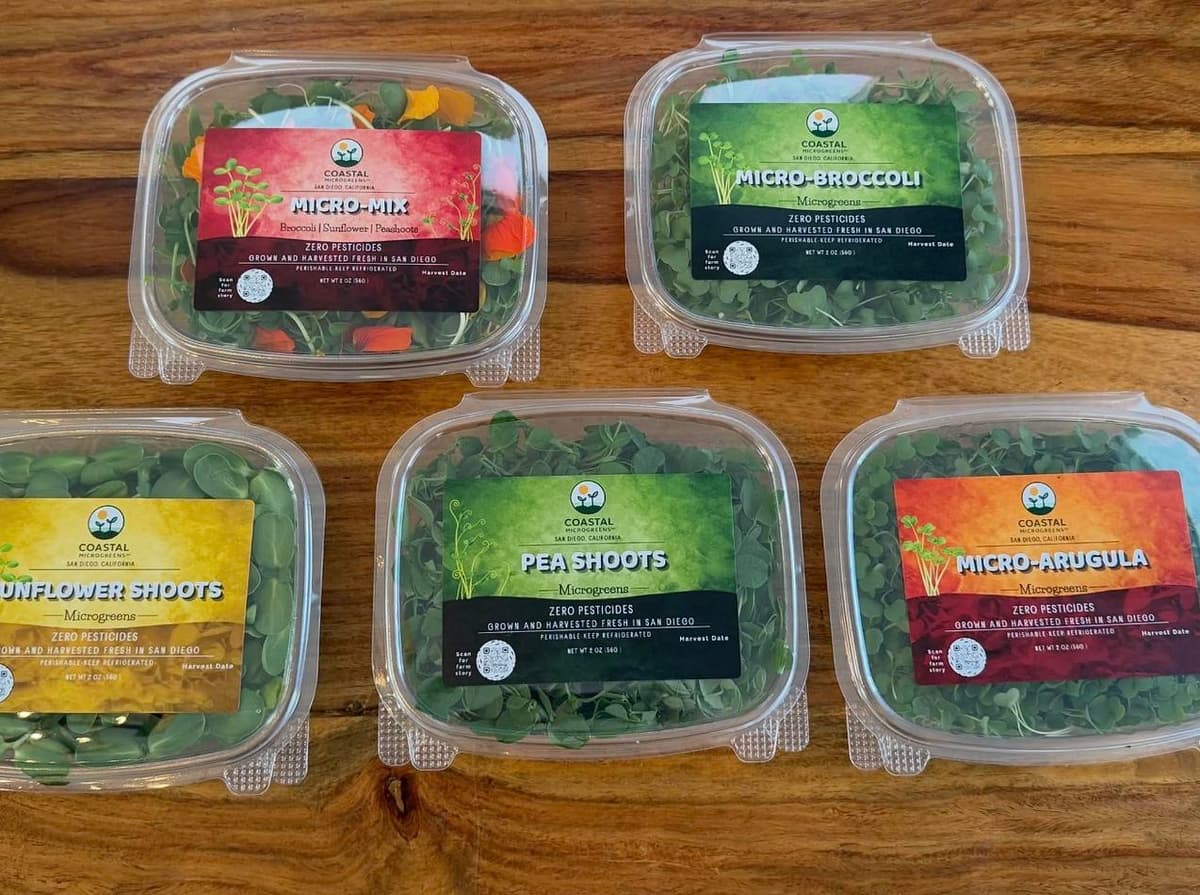 Microgreens Variety Box, Arugula & Broccoli + Pea & Sunflower Shoots, Fresh Weekly Delivery, 5-Pack