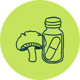 Mushroom Supplements