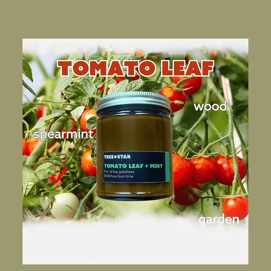 Soy Candle, Tomato Leaf & Spearmint, Fresh Garden Scent, Moss & Wood Base, Single Jar (Size Varies)