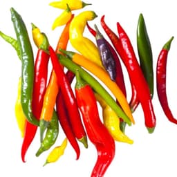 Pepper Seeds Collection-0