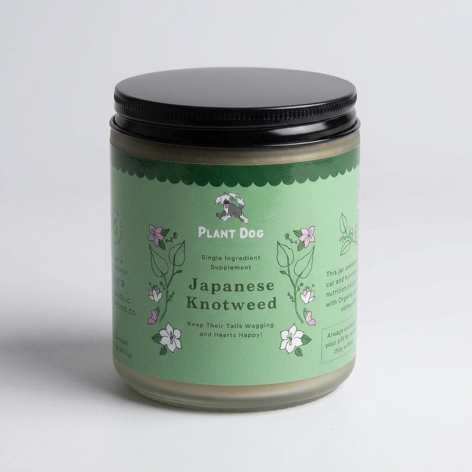 Japanese Knotweed Root Powder, Natural Resveratrol Support for Dogs, Antioxidant Circulation Support, 4 oz Jar