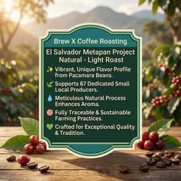 El Salvador Metapan Project, Natural - Light Roast-3