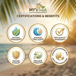 Sea Moss Wellness Shots – Turmeric + Ginger (12-Pack, 2 fl oz Each)-7