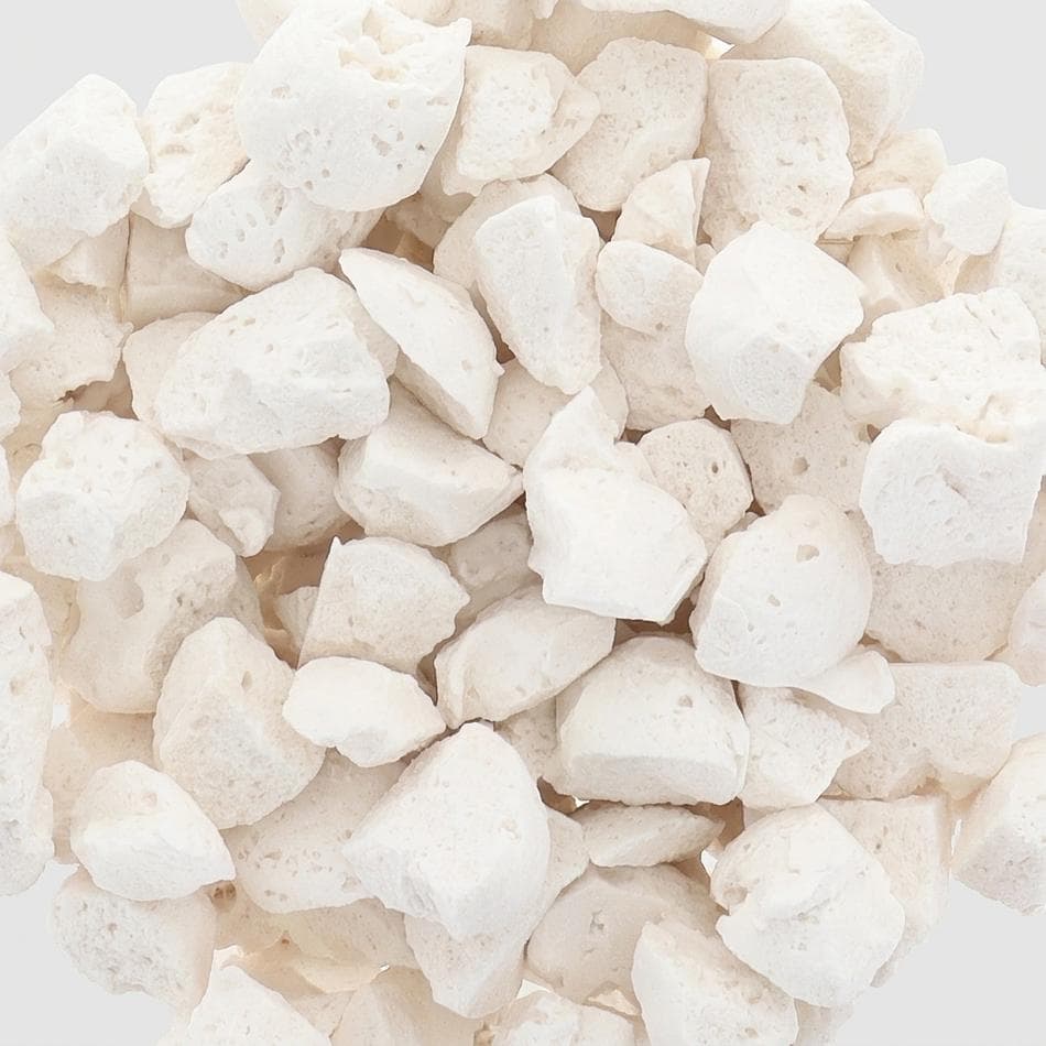 Freeze-Dried Coconut Sorbet Bites, Organic Coconut Cream, Shelf-Stable No-Melt Dessert Snack, Resealable Bag, 2.5 oz