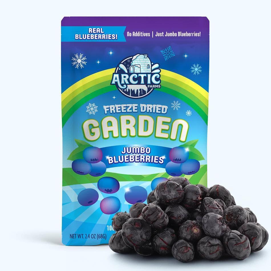 Freeze-Dried Jumbo Blueberries, XL Whole Berry Superfruit Snack, Large Resealable Bag (2.4 oz)