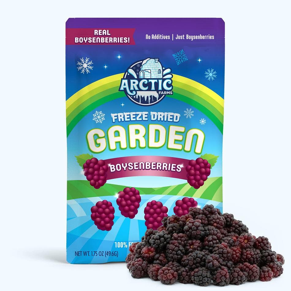 Freeze-Dried Boysenberry, Premium Whole Berry Snack, Large Resealable Bag (2 oz)
