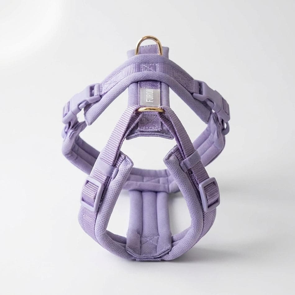 Padded Y-Front Dog Harness, Breathable Fabric, Neck-Relief Comfort Fit, Adjustable 4-Point Straps, Lavender, XS–L