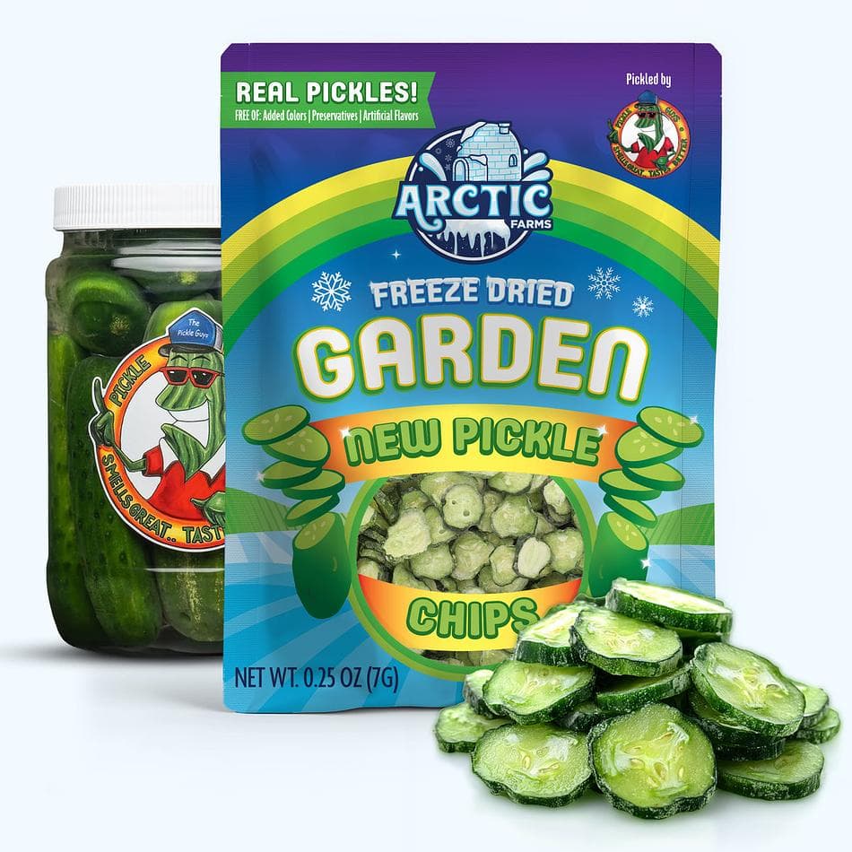 Freeze-Dried New Pickle Chips from The Pickle Guys, Minimal Salt, Crunchy Pickle Snack, Resealable Bag (0.25 oz)