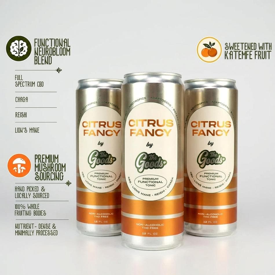 CBD Mushroom Sparkling Tonic, Lion’s Mane + Reishi + Chaga, Focus & Calm Support, Zero Sugar, 12 fl oz Cans (6-Pack)