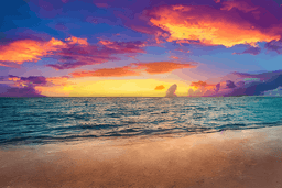 Midnight Oasis Essentials Gift Card!-3