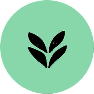 Health & Wellness