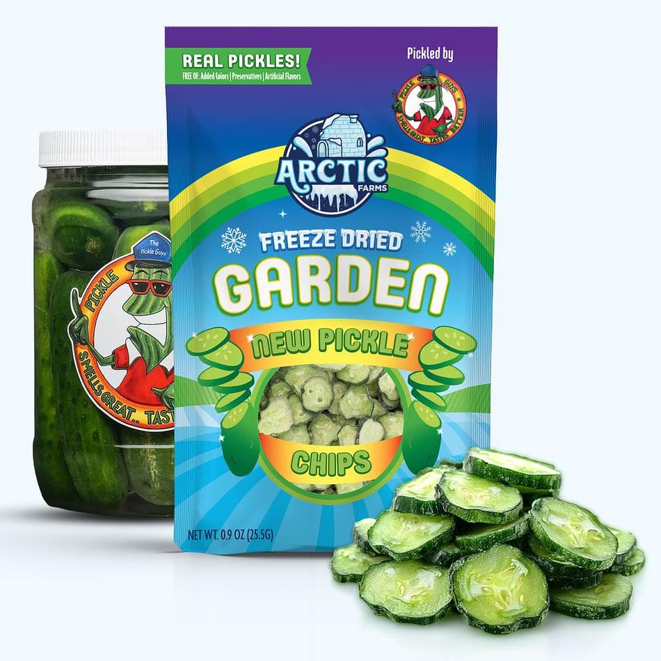 Freeze-Dried New Pickle Chips from The Pickle Guys, Minimal Salt, Crunchy Pickle Snack, Large Resealable Bag (0.9 oz)