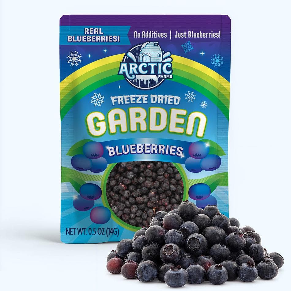 Freeze-Dried Blueberries, Whole Berry Superfruit Snack, Pack of 3 Resealable Bags (0.5 oz each)