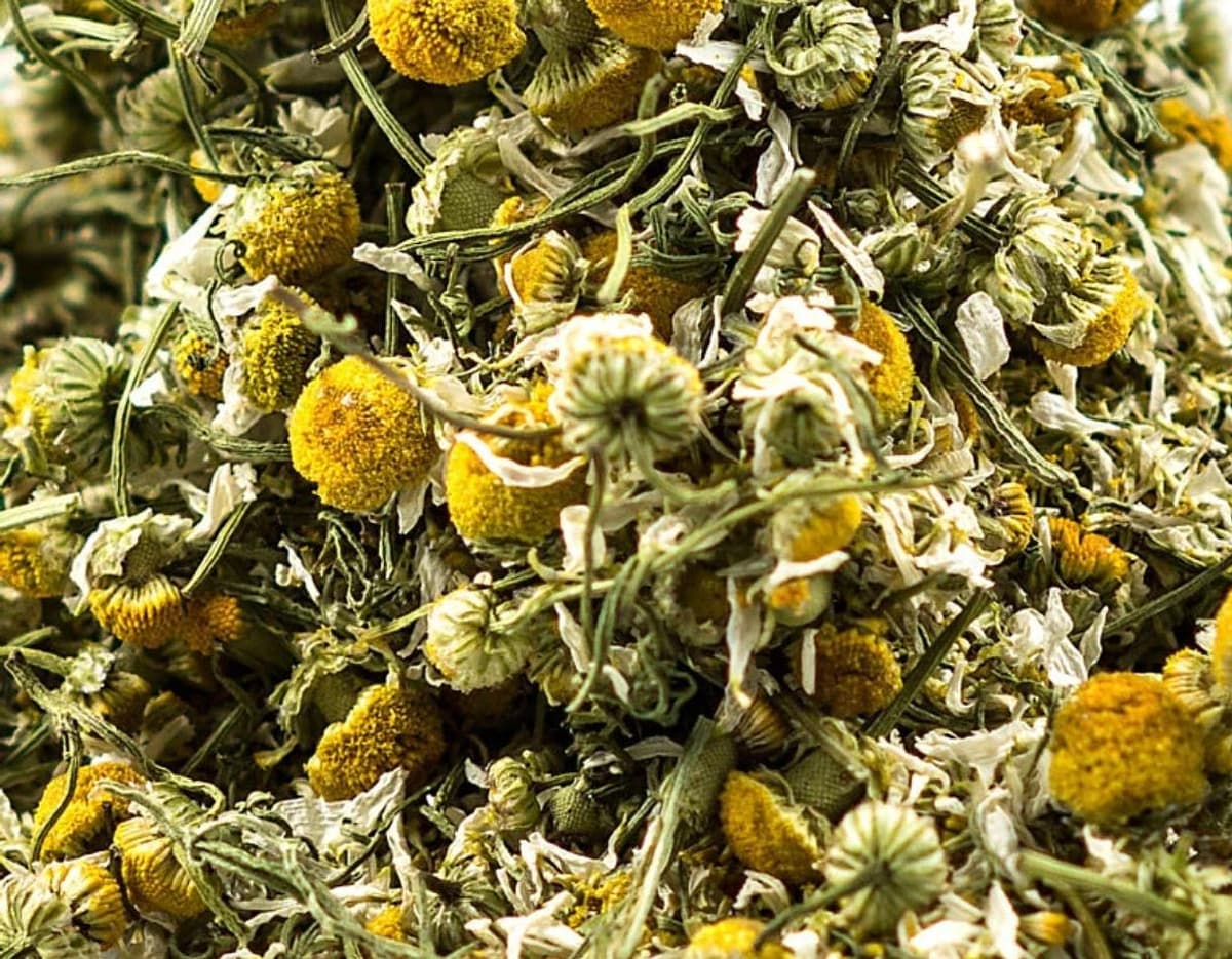Chamomile Flowers (Matricaria chamomilla), Loose Dried Herb, Relaxation & Digestive Support, 1 oz