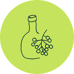 Elderberry & Immune Syrups