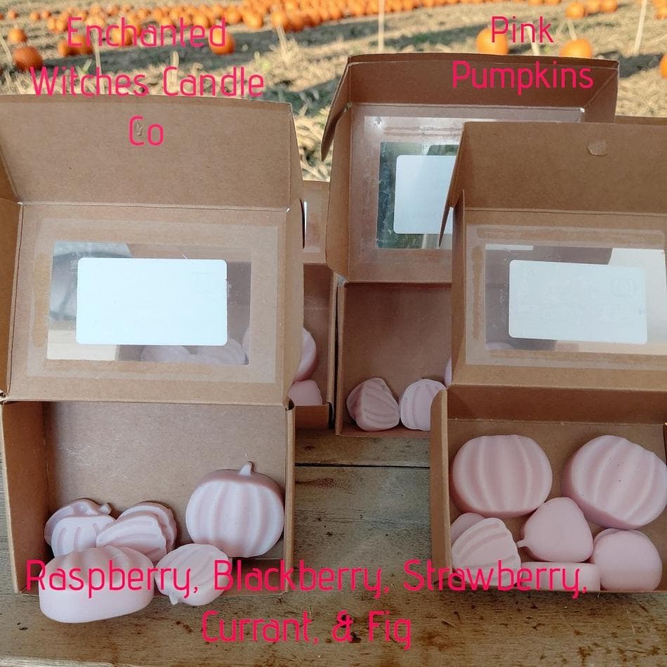 Pink Pumpkins Wax Melts