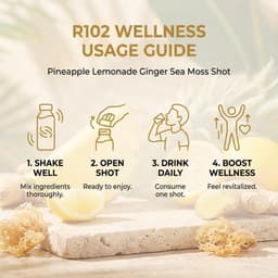 Pineapple Lemonade Ginger Sea Moss Shot-4