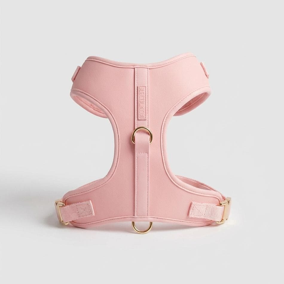 Neoprene Dog Harness & Leash Set, Breathable Mesh, Waterproof Easy-Clean, Control Handle, 5 ft Leash, Locking Carabiner