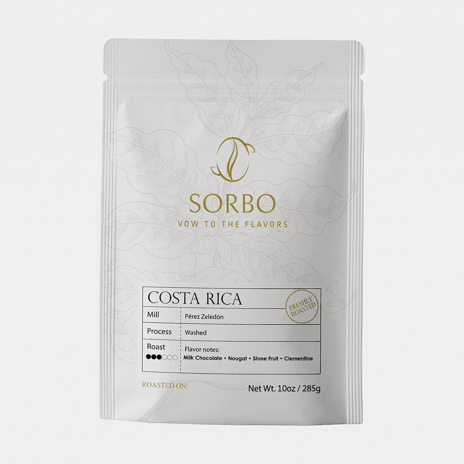 Single Origin Coffee Beans, Costa Rica Pérez Zeledón, Fully Washed, Medium Roast, Milk Chocolate Notes, 10 oz Bag