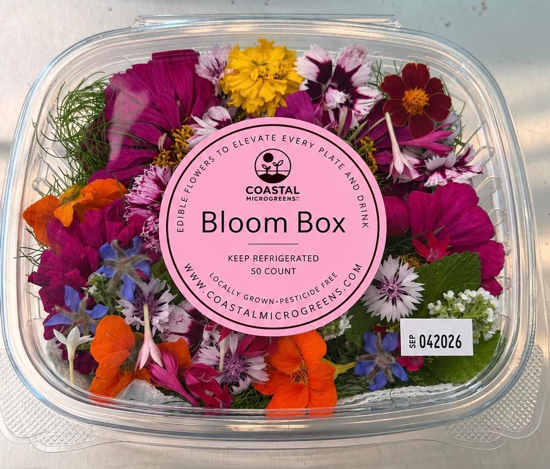 Fresh Edible Flower Assortment Box, Seasonal Mix (Pansy, Viola, Nasturtium), Cake & Cocktail Garnish, 50 Count