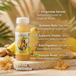 Pineapple Lemonade Ginger Sea Moss Shot-5