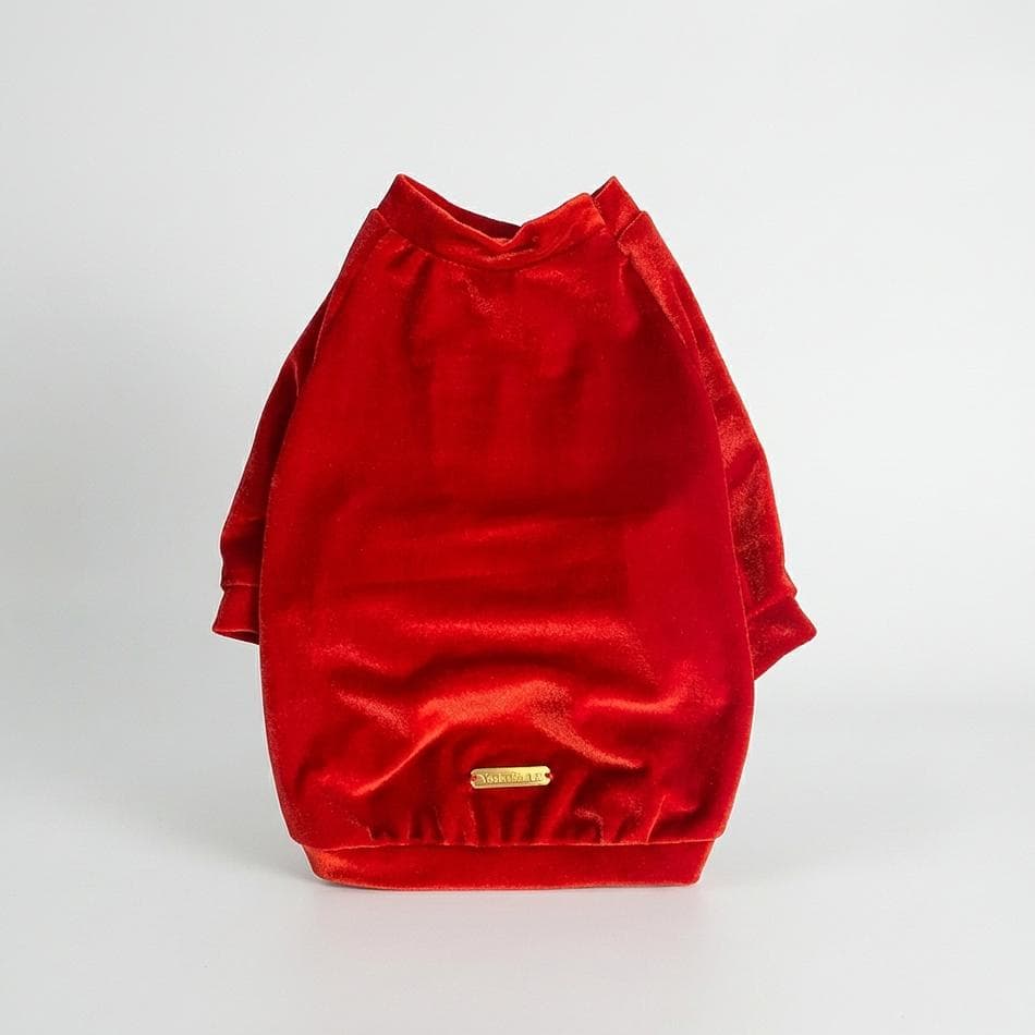 Dog Velvet Raglan Shirt, Holiday Red, Cozy Lightweight Pullover, Sizes XXS–XXL