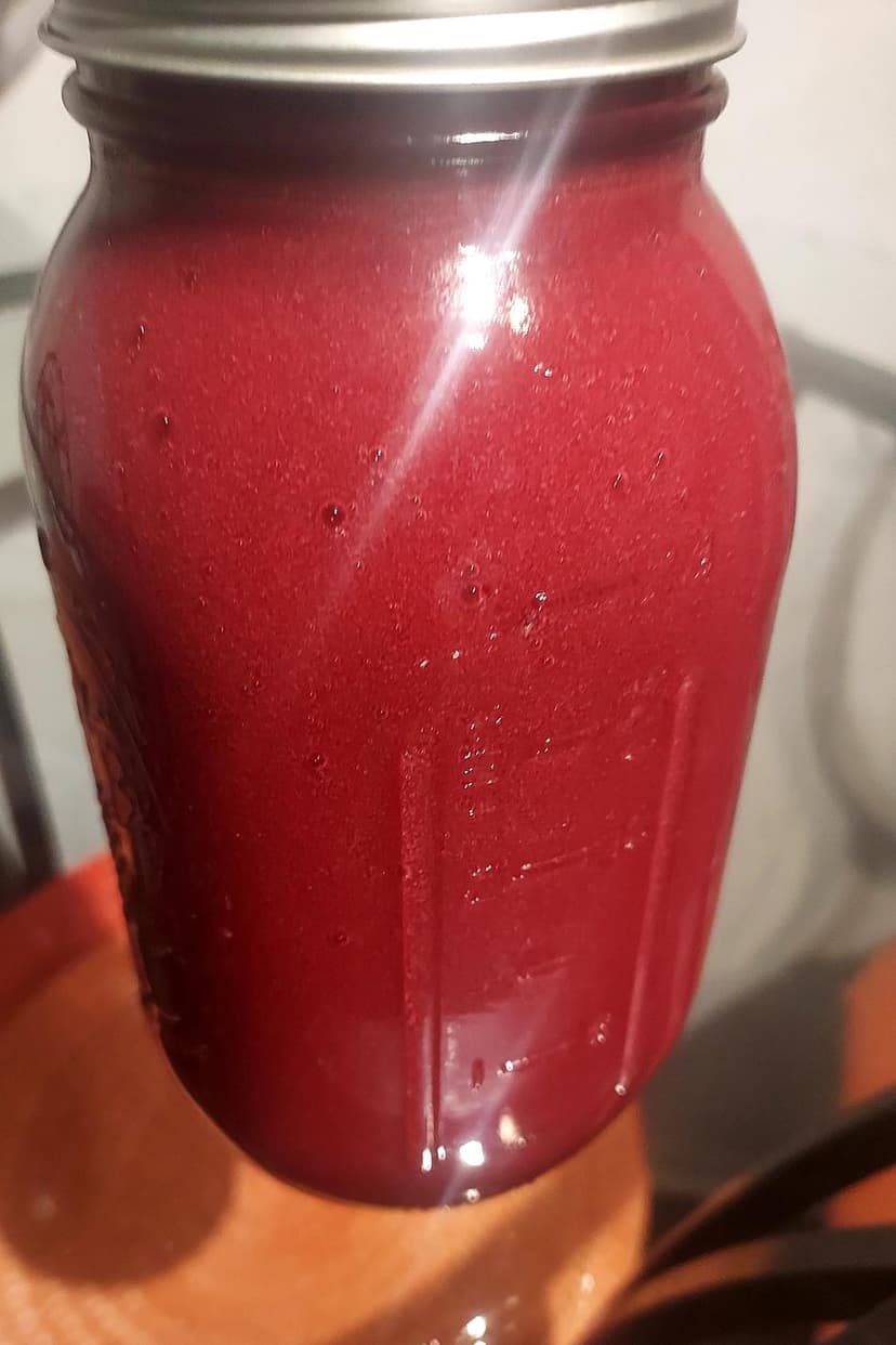 SORREL SEA MOSS - Image 1