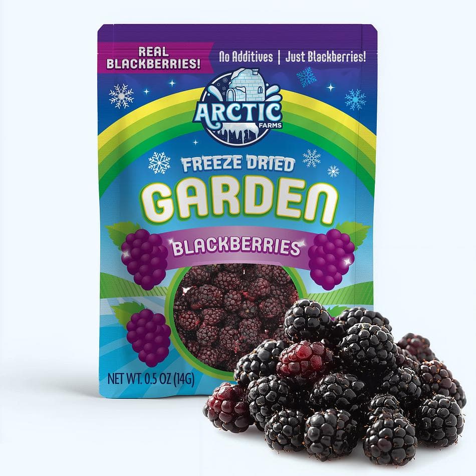 Freeze-Dried Blackberry, Premium Whole Berry Snack, Pack of 3 Resealable Bags (0.5 oz each)