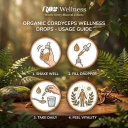 Organic Cordyceps Wellness Drops-2