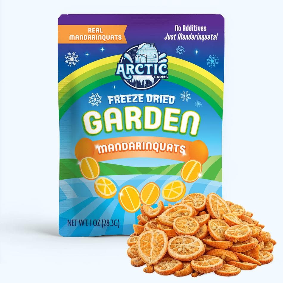 Freeze-Dried Mandarinquat Slices, 100% Fruit Citrus Wheels, Sweet-Tart Tea & Cocktail Garnish, Pack of 3 Resealable Bags (1 oz each)